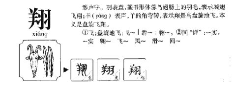 翔五行|翔